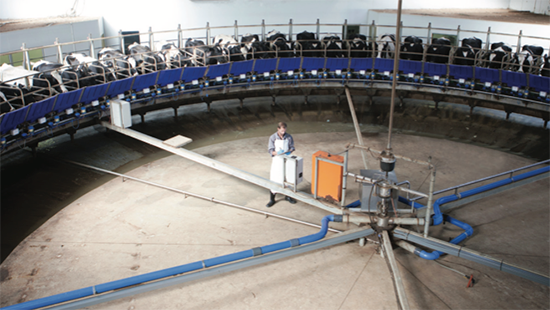 Animal Health Product guide cover